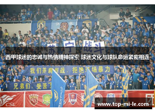 西甲球迷的忠诚与热情精神探索 球迷文化与球队命运紧密相连
