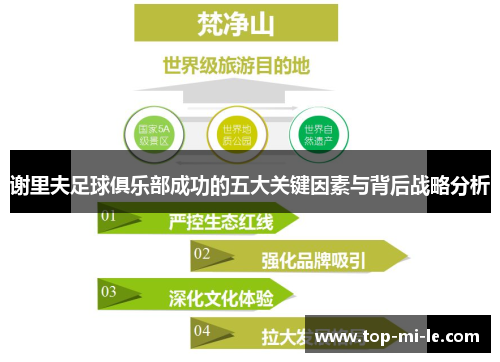 谢里夫足球俱乐部成功的五大关键因素与背后战略分析 谢里夫足球俱乐部成功的五大关键因素与背后战略分析