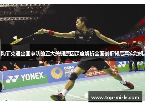 陶菲克退出国家队的五大关键原因深度解析全面剖析背后真实动机