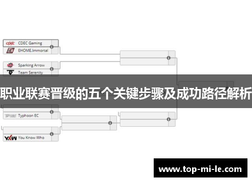 职业联赛晋级的五个关键步骤及成功路径解析 职业联赛晋级的五个关键步骤及成功路径解析