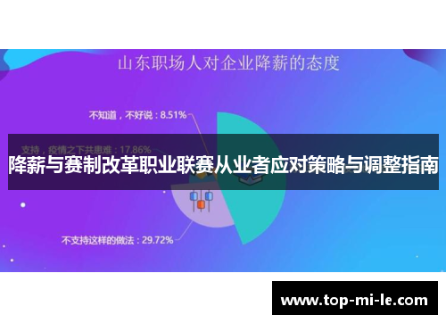 降薪与赛制改革职业联赛从业者应对策略与调整指南
