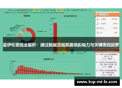 霍伊伦表现全解析：通过数据透视其赛场影响力与关键表现因素