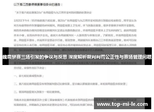 魏震禁赛三场引发的争议与反思 深度解析裁判判罚公正性与赛场管理问题